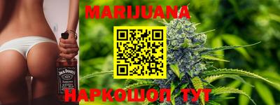 гидра Кингисепп