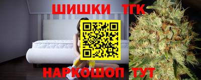 гидра Кингисепп