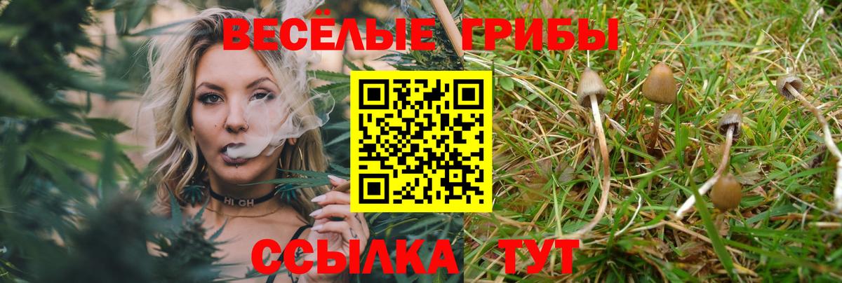 Галлюциногенные грибы мухоморы  Галлюциногенные грибы GOLDEN TEACHER  Вход с VPN  Киселёвск 